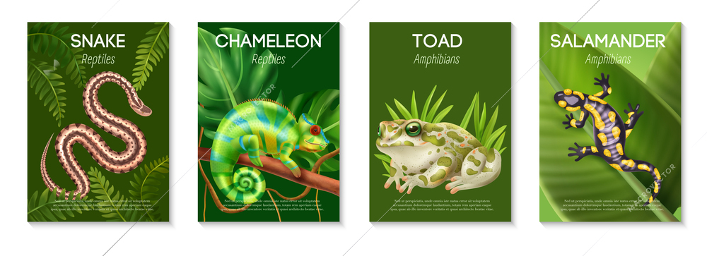 Realistic reptiles amphibians poster set with snake chameleon toad and salamander headlines vector illustration