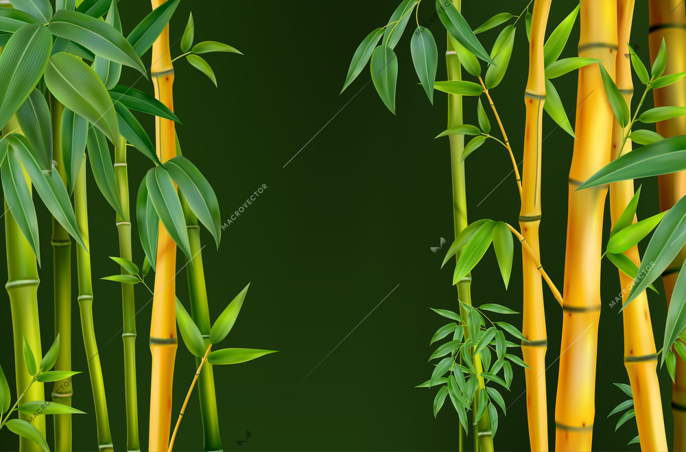 Realistic bamboo concept vector bamboo tree trunks on the sides on black background illustration