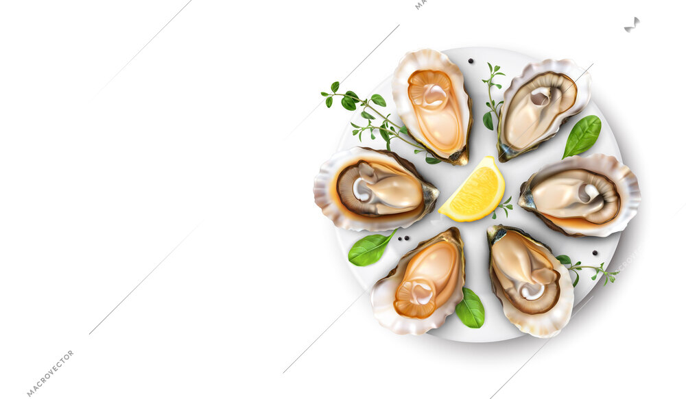 Fresh oysters served with lemon and condiment on plate realistic composition on white background vector illustration