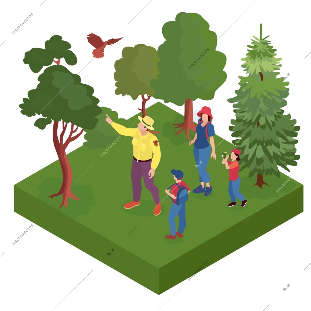 Isometric forest ranger isolated composition with isolated piece of forest with trees birds and walking people vector illustration