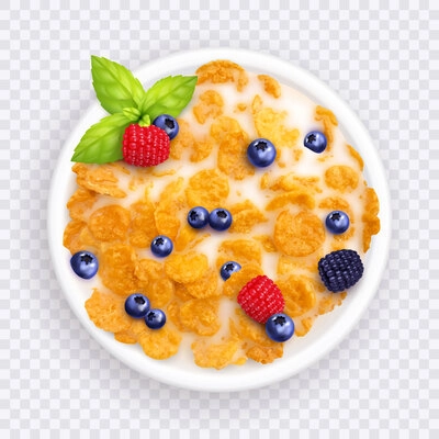 Cereal with milk and berries breakfast realistic composition with transparent background and isolated dish top view vector illustration