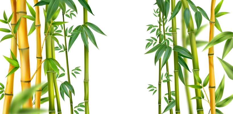 Realistic bamboo isolated composition yellow and green bamboo trunks on the sides vector illustration