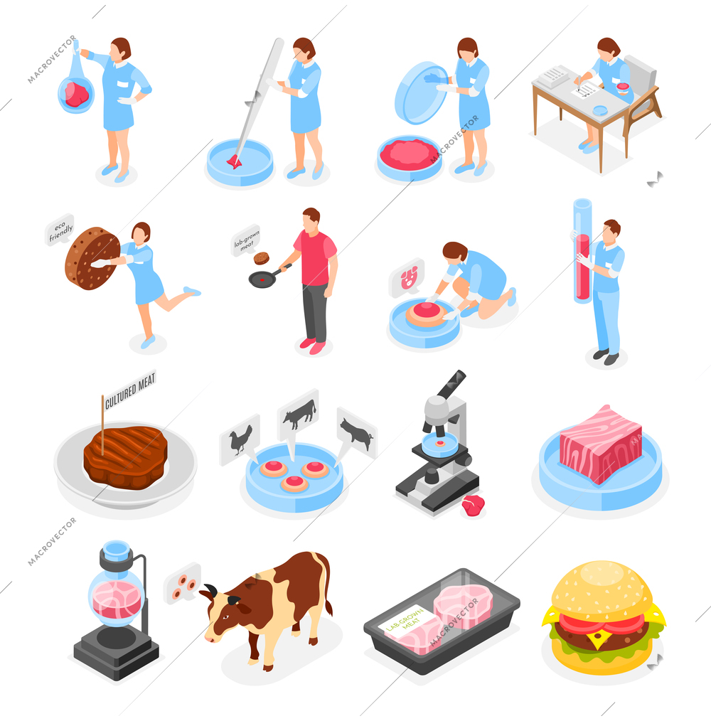 Artificial grown meat isometric icons set of scientists analyzing test tubes with cultured meat isolated vector illustration