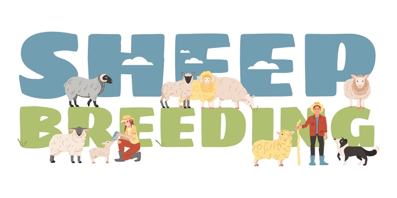 Sheep breeding flat text banner with farmers and various breeds of farm animals vector illustration