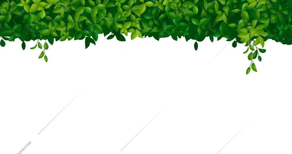 Green bush shrub tree crown realistic white background vector illustration