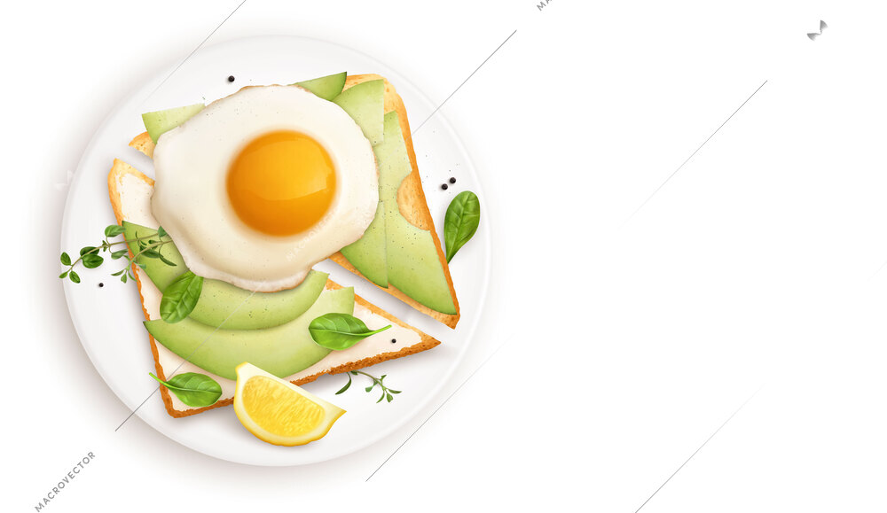 Breakfast realistic composition with avocado sandwich and fried egg on plate top view on blank background vector illustration