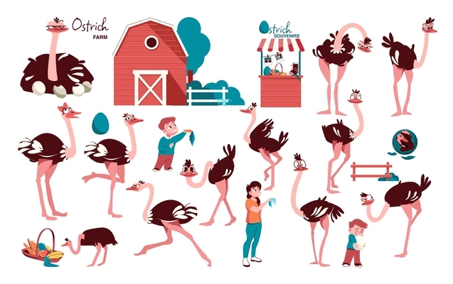 Ostrich farm flat set with isolated images of ostriches in different poses with barn and people vector illustration