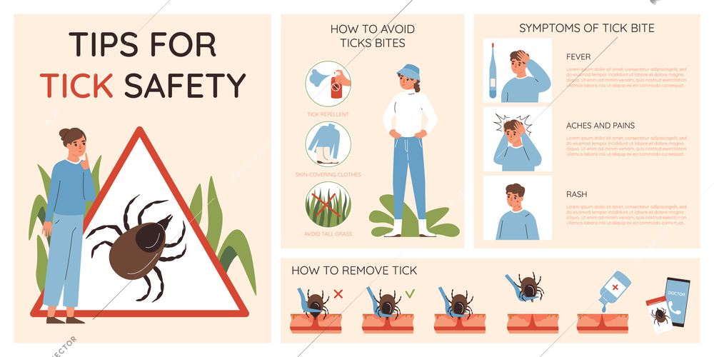 Insects infographic set with ticks bites symbols flat vector illustration