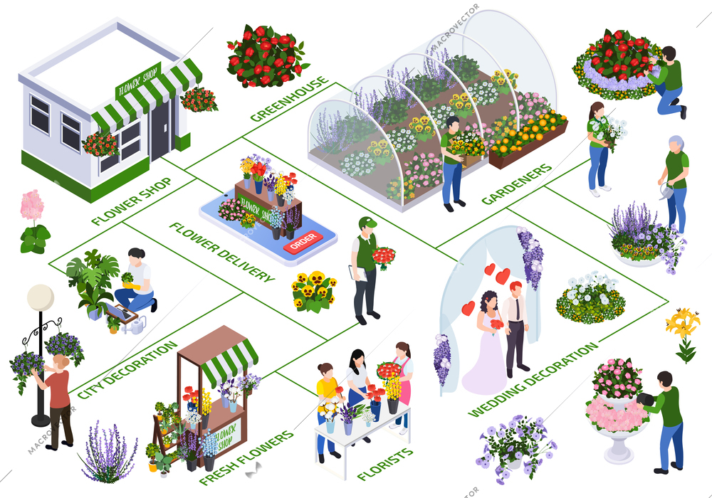 Florist city event flower decoration isometric flowchart with isolated icons of flower delivery and urban gardening vector illustration