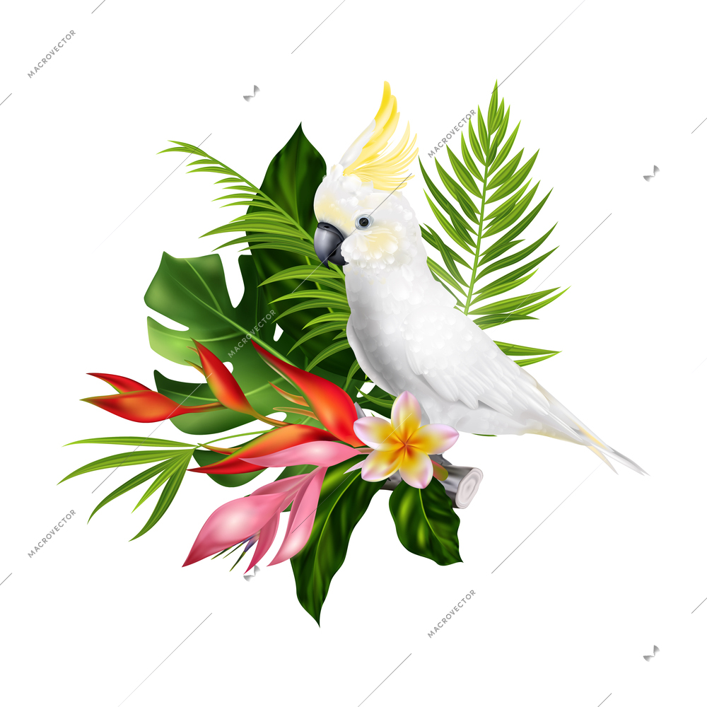 Realistic parrot tropical composition with white bird and exotic flowers with leaves isolated on blank background vector illustration