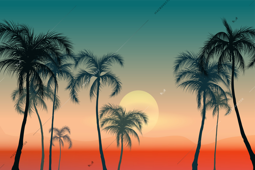 Palm tree sunset composition with outdoor landscape and gradient sky with sun and silhouettes of trees vector illustration