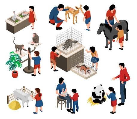 Isometric mini zoo children set with isolated compositions of faceless human characters stroking touching feeding animals vector illustration