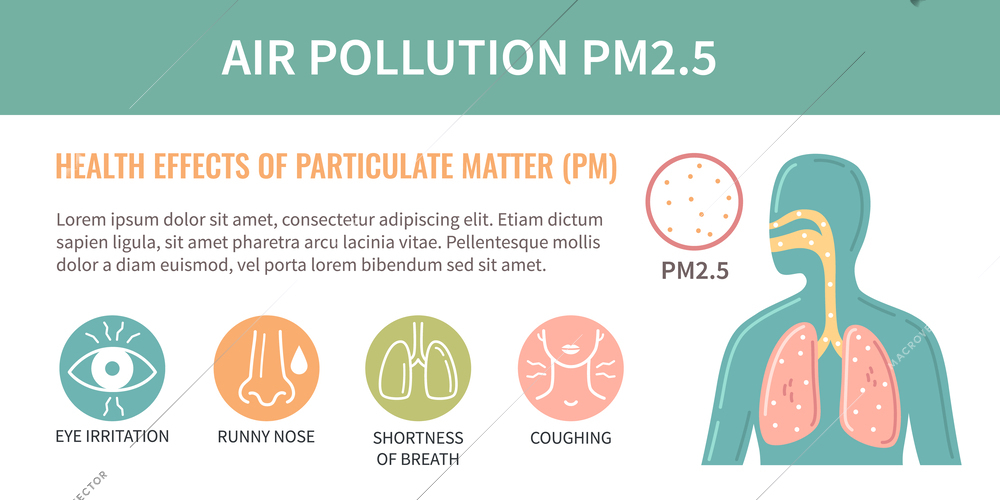 Air pollution pm2.5 particles flat infographics with circle shaped icons representing different symptoms and harmful health effects vector illustration