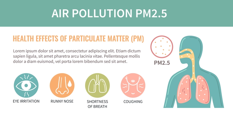 Air pollution pm2.5 particles flat infographics with circle shaped icons representing different symptoms and harmful health effects vector illustration