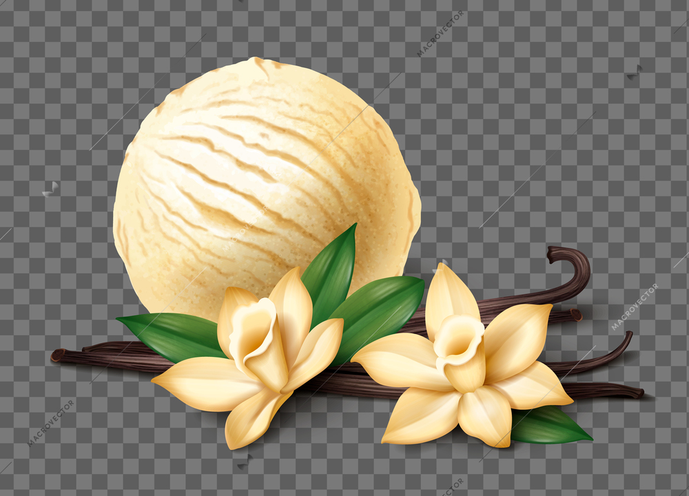 Realistic vanilla spice composition with ice cream scoop on transparent background vector illustration