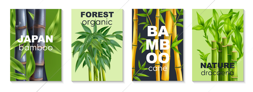 Four vertical realistic bamboo poster set with japan bamboo forest organic and nature dracaena headlines vector illustration