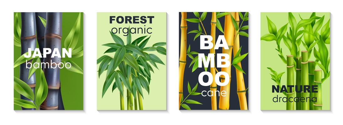 Four vertical realistic bamboo poster set with japan bamboo forest organic and nature dracaena headlines vector illustration