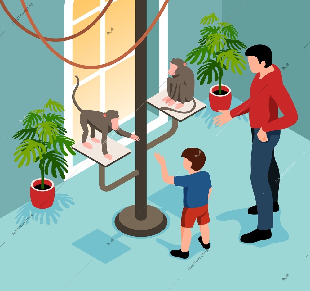 Isometric mini zoo children composition with indoor interior view and man with boy watching two monkeys vector illustration