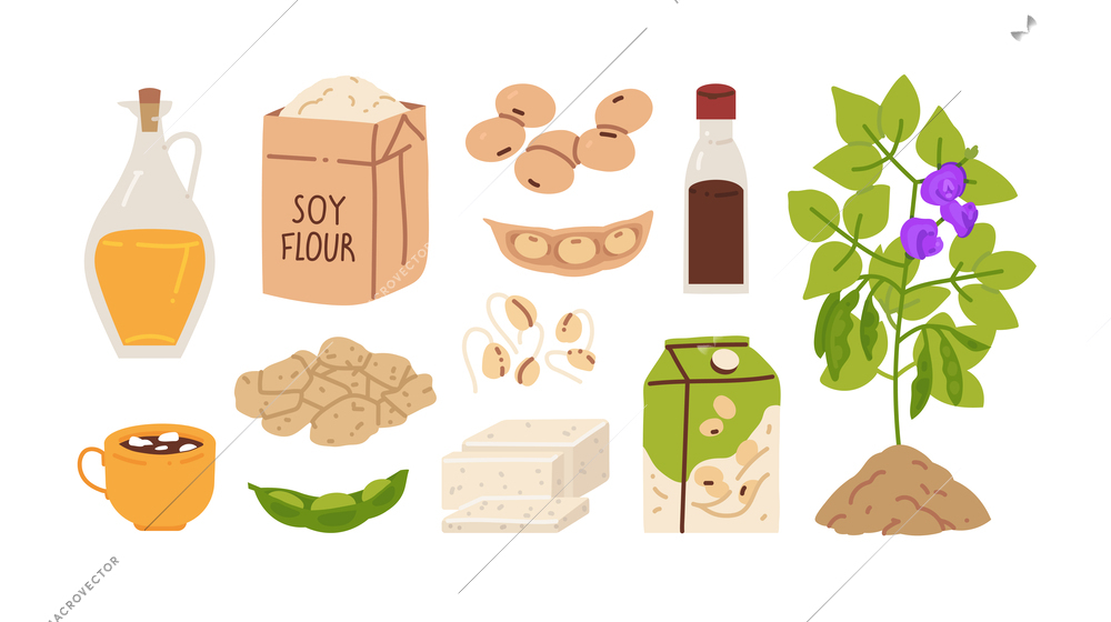Soy products flat set with isolated images of flour pack ripe plant with cups and packages vector illustration