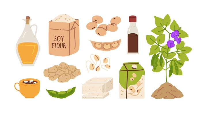 Soy products flat set with isolated images of flour pack ripe plant with cups and packages vector illustration