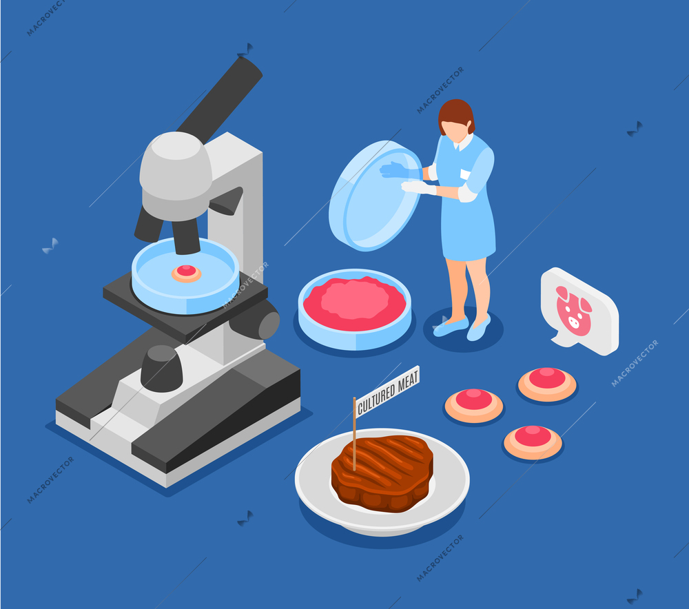 Artificial grown meat blue background with researcher examining beef steak made from animal cells isometric vector illustration