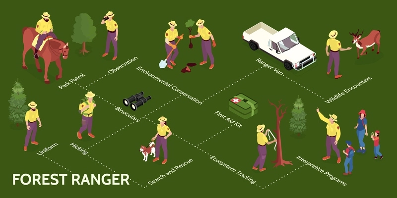 Isometric forest ranger infographics with flowchart of isolated human characters with animals trees and text captions vector illustration