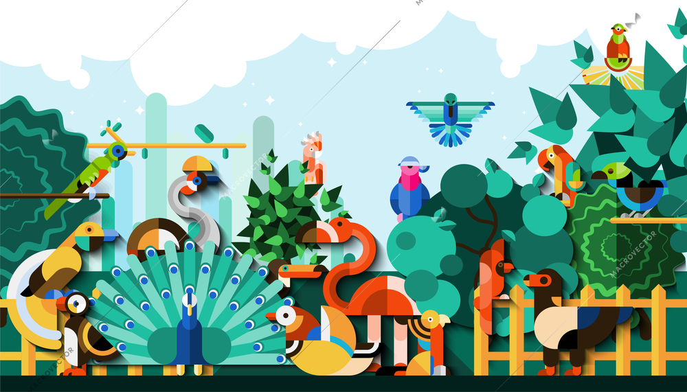 Exotic birds in tropical jungle forest colorful background vector illustration