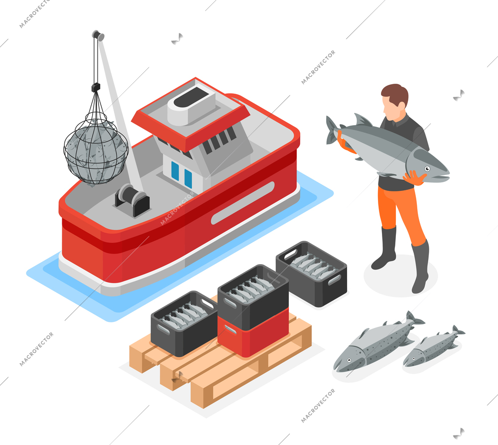 Mariculture business isometric composition with fishing boat and fisher holding big freshly caught fish vector illustration