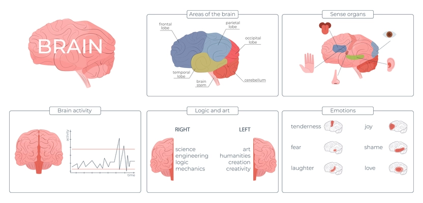 Brain function infographic set with emotions and activity symbols flat vector illustration