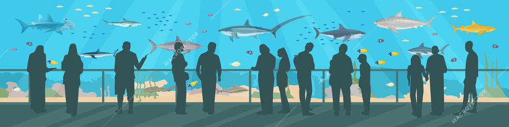 Sharks in oceanarium flat composition with horizontal view of big aquarium with underwater fishes and people vector illustration