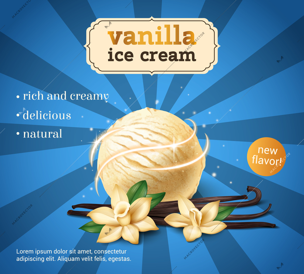 Realistic vanilla ice cream poster with orchid flower and spice stick vector illustration