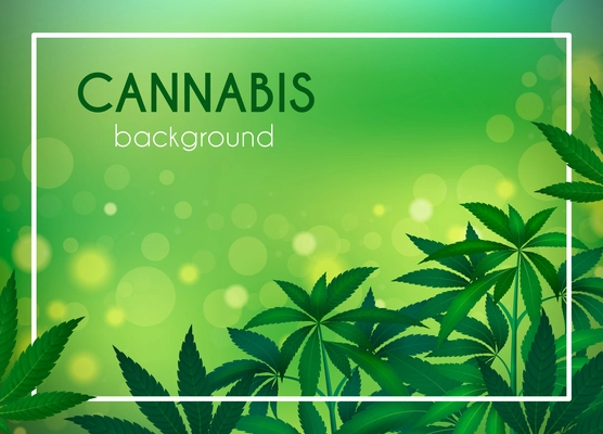 Medical marijuana realistic poster with cannabis plant leaves on green background vector illustration