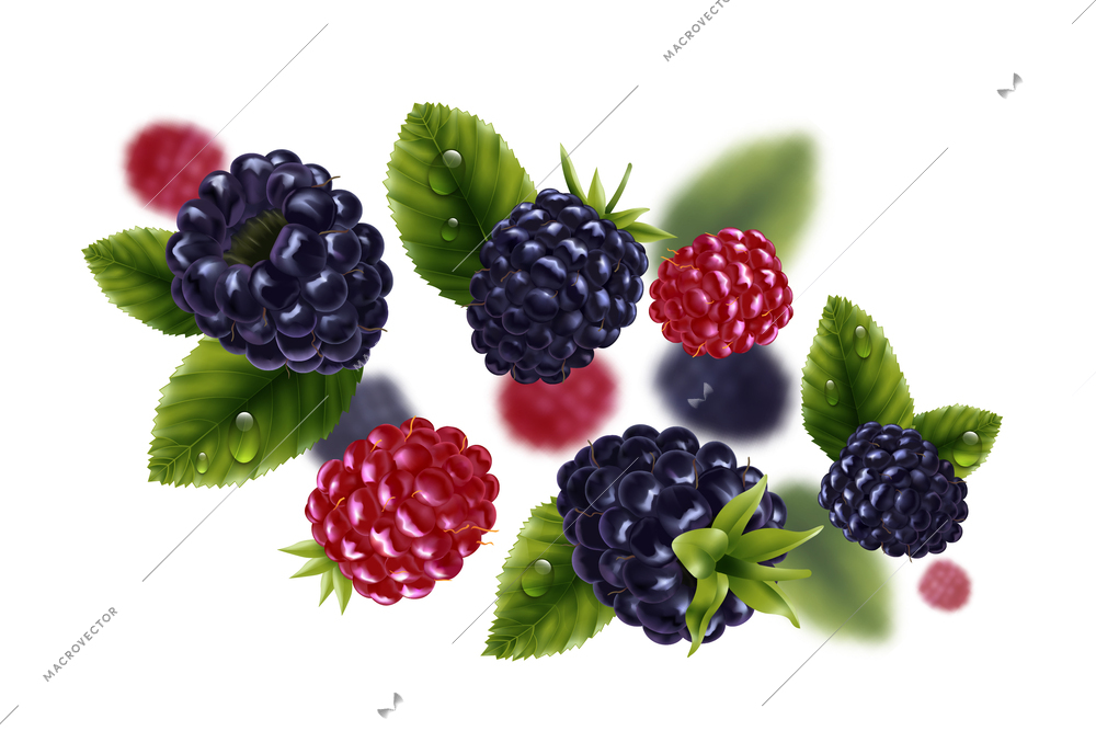 Realistic flying blackberries with green leaves in background with blurred image vector illustration