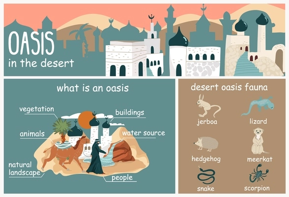 Infographic in flat style showing what oasis in desert is with its fauna vector illustration