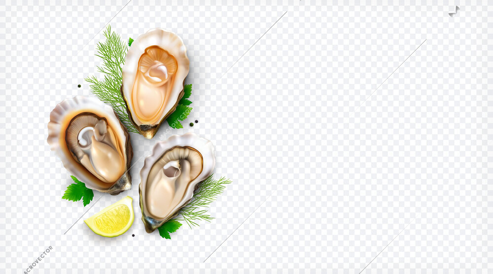 Oysters realistic composition with top view of seafood shells with lemon and greens on transparent background vector illustration