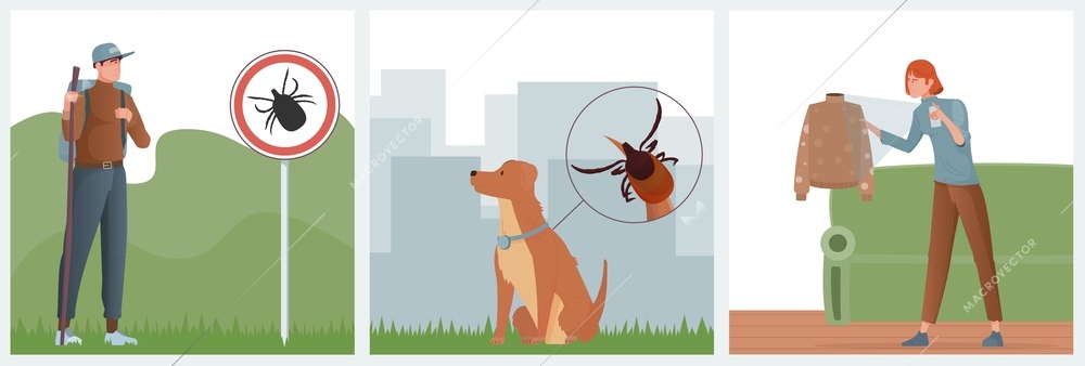 Ticks insect set of three square compositions with flat cityscape human characters watching jacket and dog vector illustration