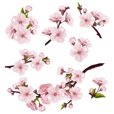 Realistic sakura cherry icons set with blossoming tree branches isoalted vector illustration