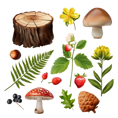 Realistic forest icons set with wild flowers berries and mushrooms isolated vector illustration
