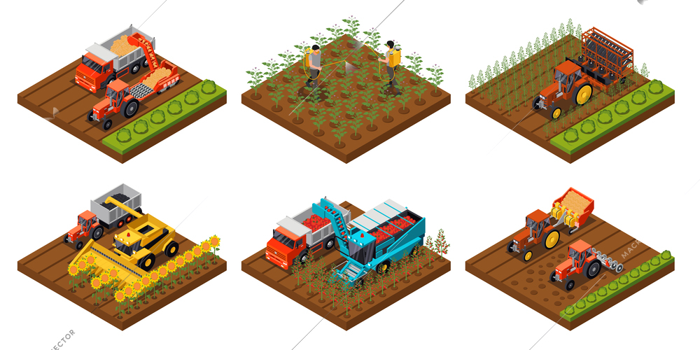 Potato chips production isometric set with six isolated platforms of field works with machinery and harvest vector illustration