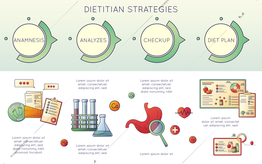 Dietology nutritionist dietitian infographics with editable text radial charts graphs and images of test tubes stomach vector illustration