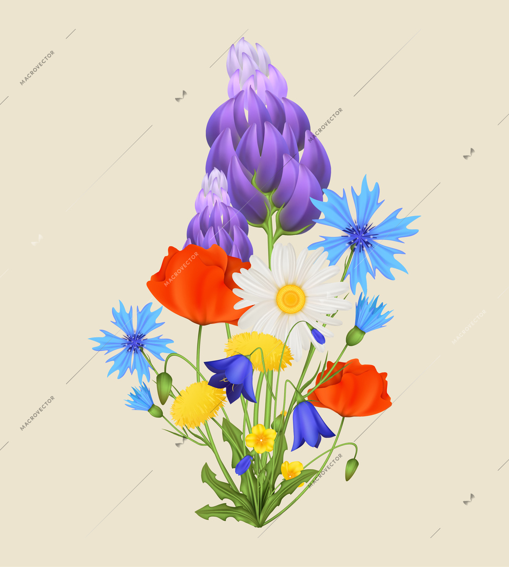 Spring flowers realstic composition with chamomile vector illustration