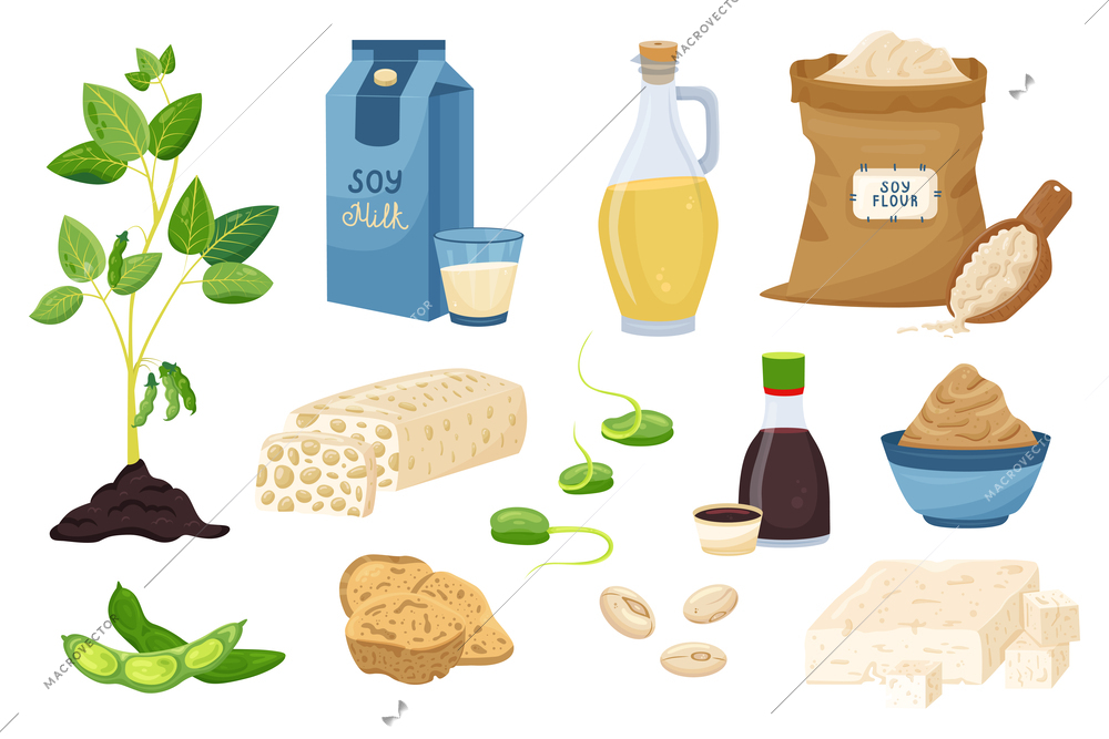 Flat set of various soy products with beans sauce milk flour sprouts tofu miso paste oil tempeh meat isolated vector illustration