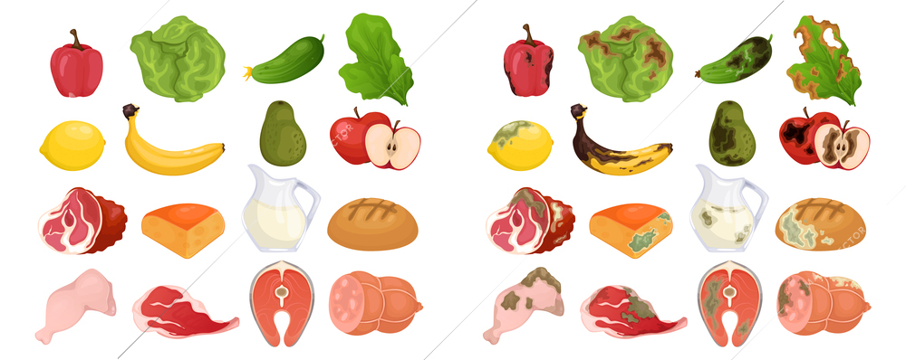 Fresh and rotten food set of fruits vegetables meat bread and dairy products isolated vector illustration