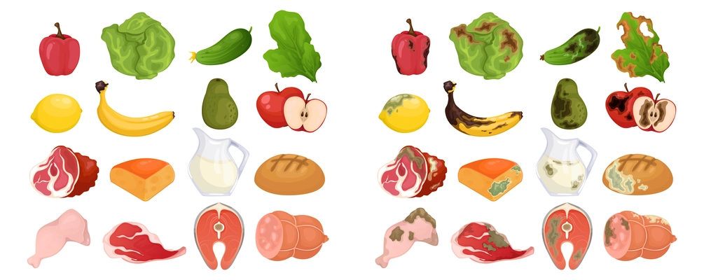 Fresh and rotten food set of fruits vegetables meat bread and dairy products isolated vector illustration