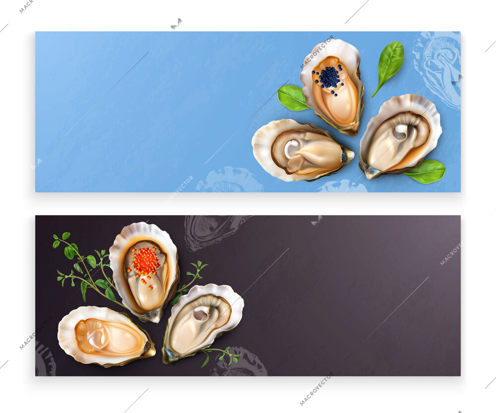 Set of two horizontal banners with realistic images of seafood shells with greens black red caviar vector illustration