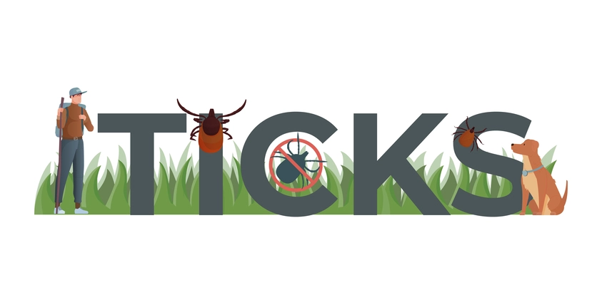 Ticks insect composition with flat text green grass and traveling male character with dog and bugs vector illustration