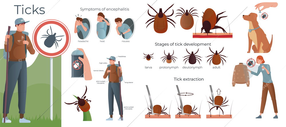 Ticks insect flat composition with traveling man warning sign and set of isolated icons with text vector illustration