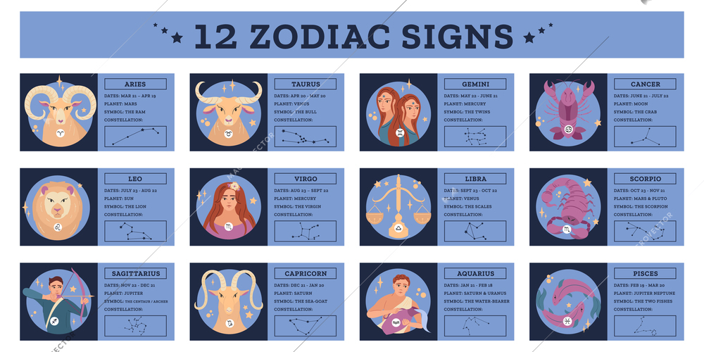 Flat infographic with descriptions and constellations of twelve zodiac signs vector illustration