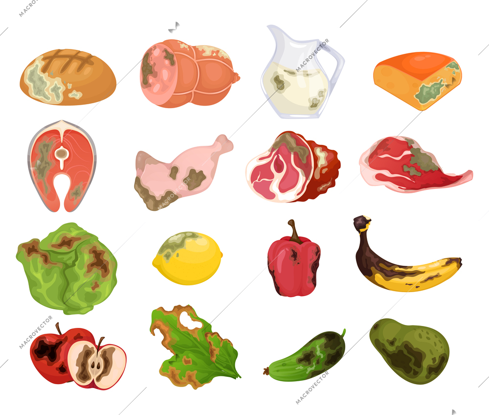 Rotten food cartoon set of spoiled moldy organic milk and meat products isolated vector illustration
