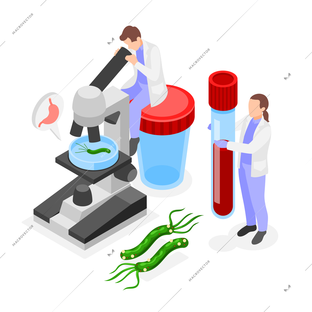 Helicobacter pilory definition isometric illustration with medical staff conducting testing in laboratory by various methods vector illustration